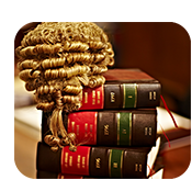 IT company supporting law firms.